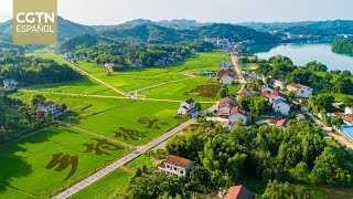 China celebra la Conferencia Central de Trabajo Rural