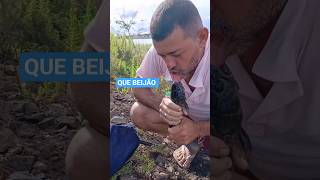 Teria coragem de beijar esse peixe ? #barbapescarias