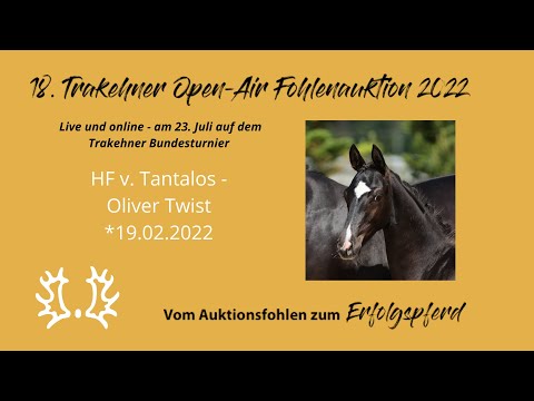 Kat.-Nr.25 HF v. Tantalos - Oliver Twist