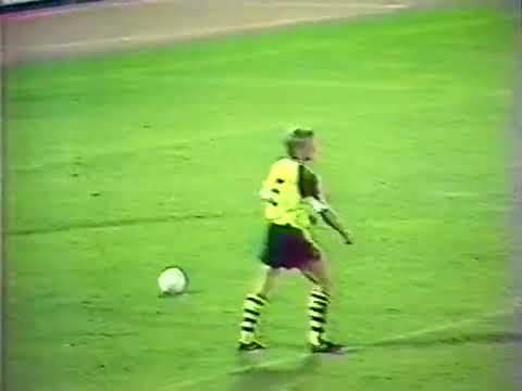 Chemnitzer FC vs  Borussia Dortmund 1990 - 1991