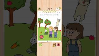Brain Test 5 Level 30: Look at this scene carefully Walkthrough