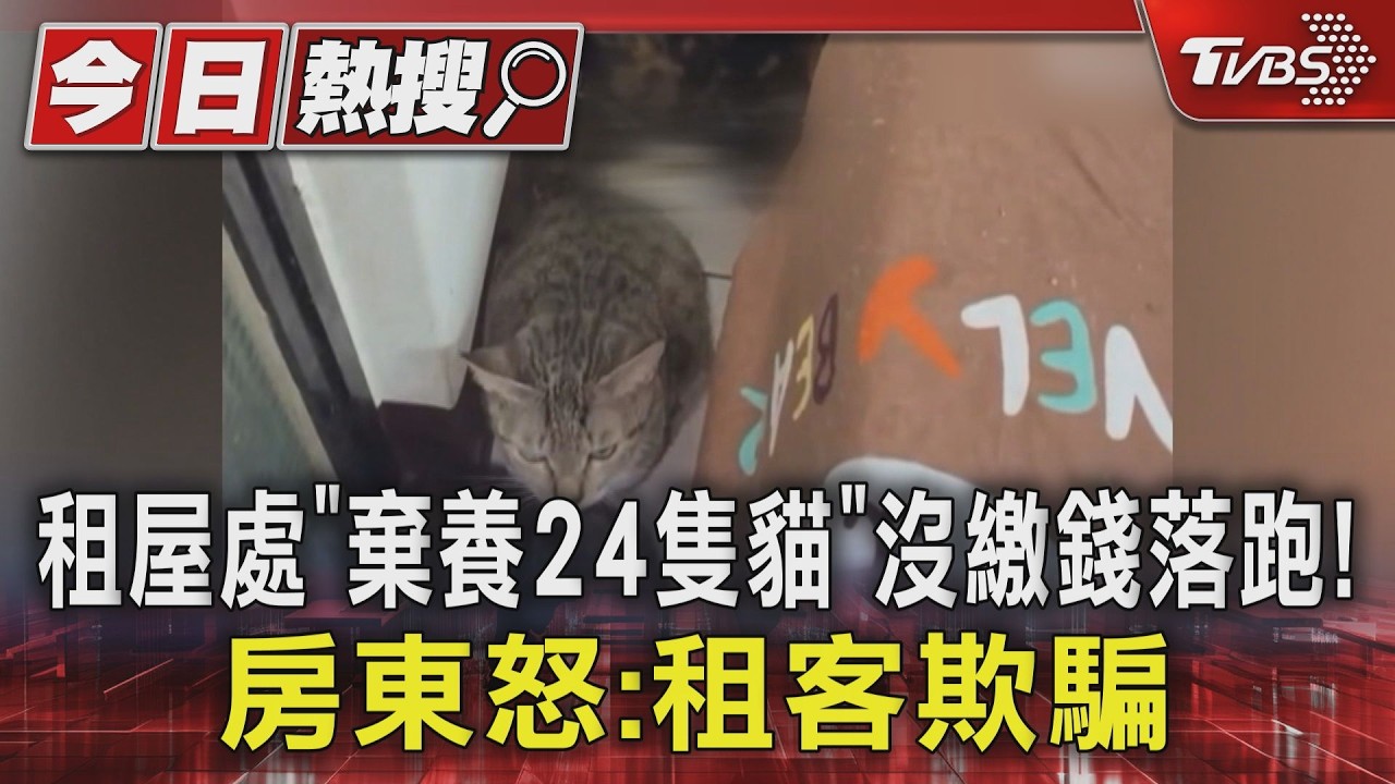 影音/房客欠租10萬落跑! 高雄套房「棄養24貓」 屎尿滿地飄惡臭