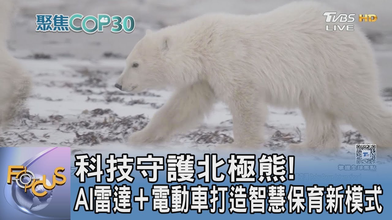 科技守護北極熊!AI雷達+電動車打造智慧保育新模式