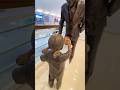 Cutebaby Youtubeshorts Shorts Ytshorts Shots Shortsfeed Shortvideo Yt