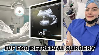 IVF PART. II: Egg Retrieval Surgery | Omaya Zein