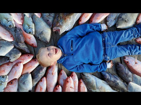 5 Days 28 Species Fishing Catch & Cook. Grouper, Snapper, Bass, Sharks, Drum and more