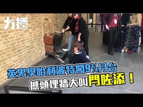 撼頭埋牆大叫：閂咗添！