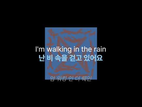 X JAPAN - Endless Rain (가사해석)