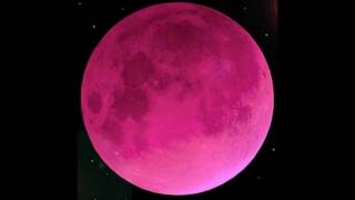 Pink moon cover