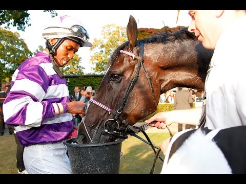 TV-Beitrag: Preis der Deutschen Einheit in Berlin-Hoppegarten