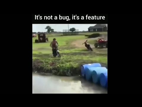 It's Not A Bug, It's A Feature || A Programming Meme