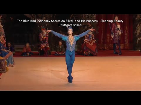 The Blue Bird (Adhonay Soares da Silva)  and His Princess - Sleeping Beauty