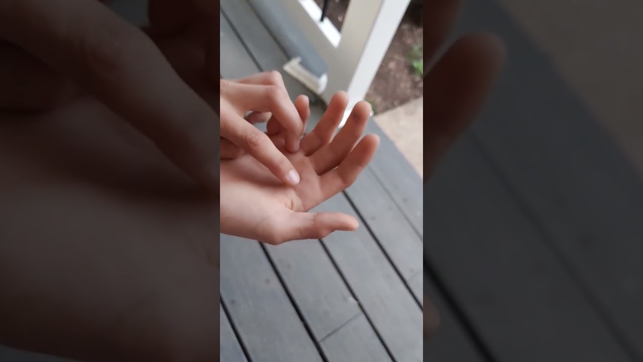 Lightning Bug Fun #fireflies #lightningbugs