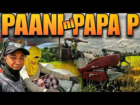 Paani ng Tanim na Palay ni Pongloy - EP2032