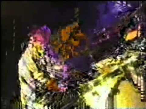 Chris de Burgh - Timing is Everything LIVE