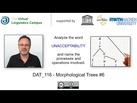 DAT_116 - Morphological Analysis: unacceptability