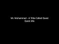 Mr. Muhammad - A Tribe Called Quest Quick Mix
