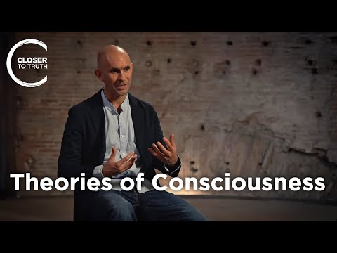 Thumbnail for Is materialism enough for consciousness?