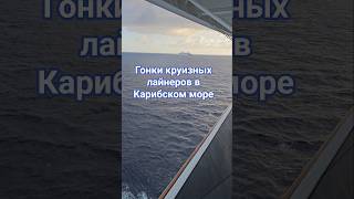 Гонки круизных лайнеров в Карибском море #mscdivina #carnivalhorizon #caribbean #umarkeyn #cruise