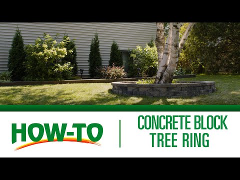 Belgen Block Tree Rings MM Concrete | Video Gallery