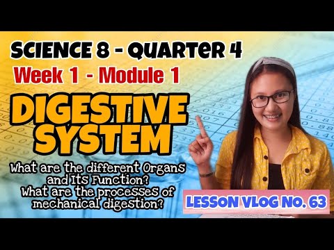 THE DIGESTIVE SYSTEM (Module 1) | Q4 - Science 8