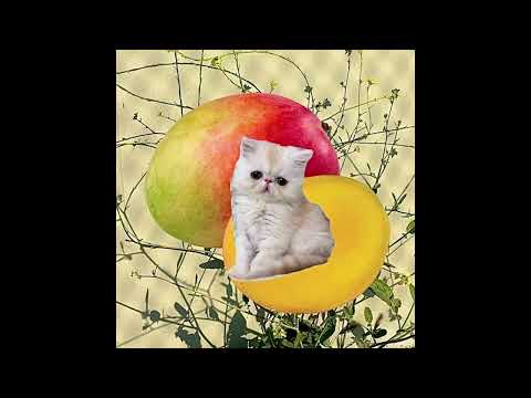 Mango Pit - Remi Wolf
