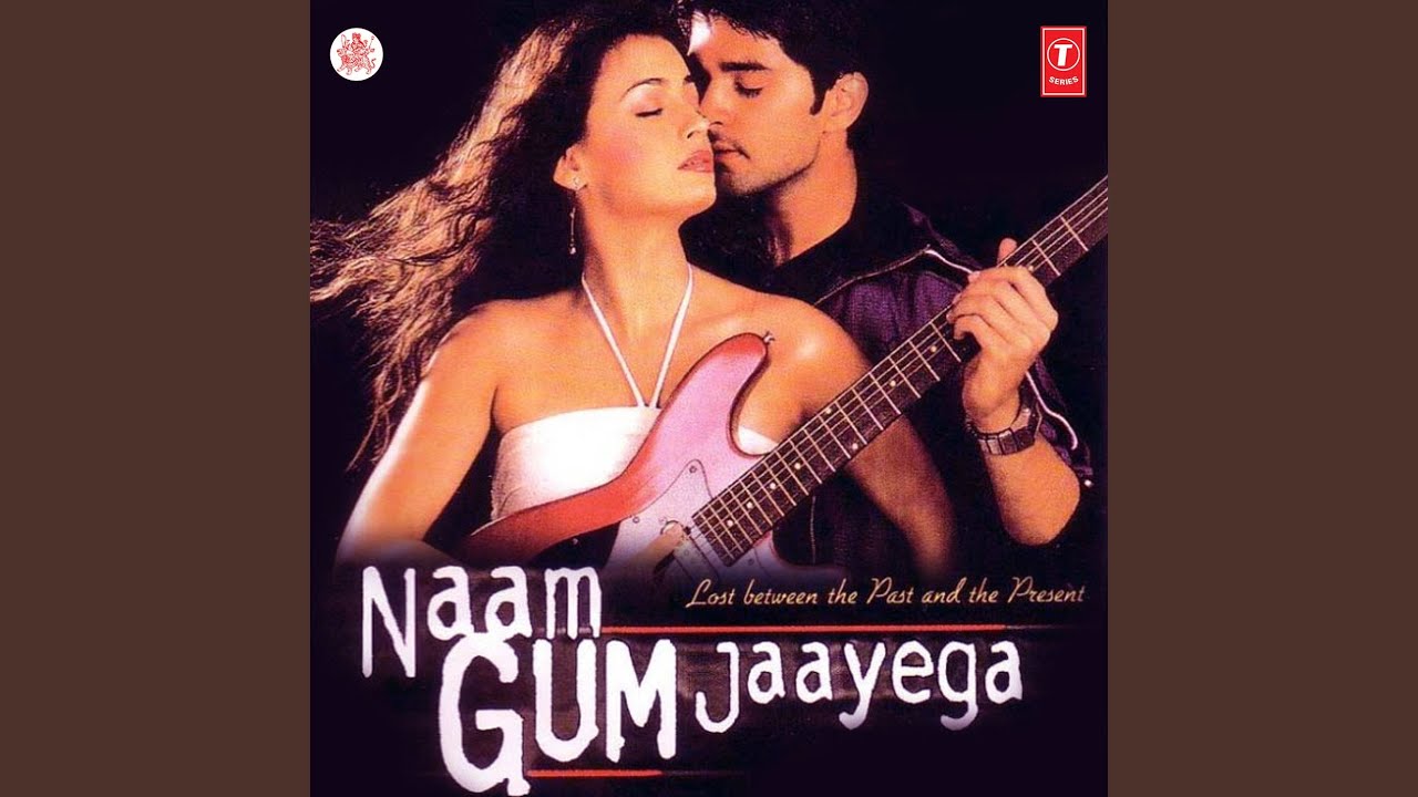 Tumse Milke Mujhe Lyrics | Naam Gum Jaayega | Sadhana Sargam, Suresh Wadkar