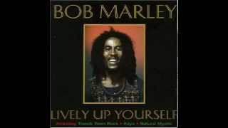 Bob Marley & The Wailers - Lively Up Your Dub