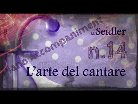 Seidler n.14 - Piano Accompaniment (Play-Along)