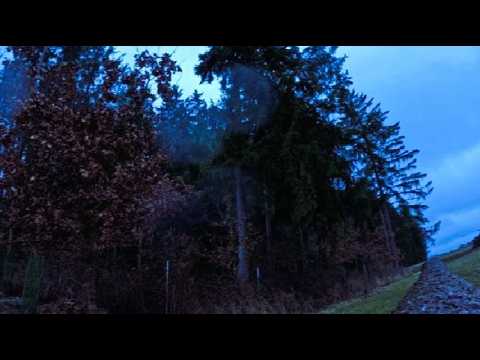 Rain & Wind Through Brown Autumn Leaves – Calm Forest Ambience for Sleep (2 Hours)