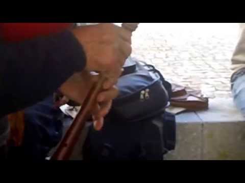 Palheta Bendita 2014 - Closeup da técnica do gaiteiro Ti Carriço