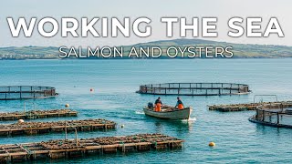 Working the Sea: Salmon and Oysters