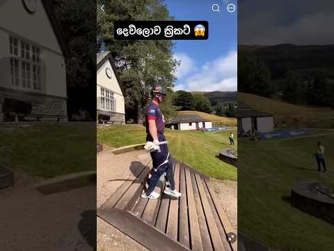 කොහෙ වෙන්න ඇතිද පුතා 😱 #srilanka #cricketlover #cricketshorts #englishcricket #slcricket #slshorts