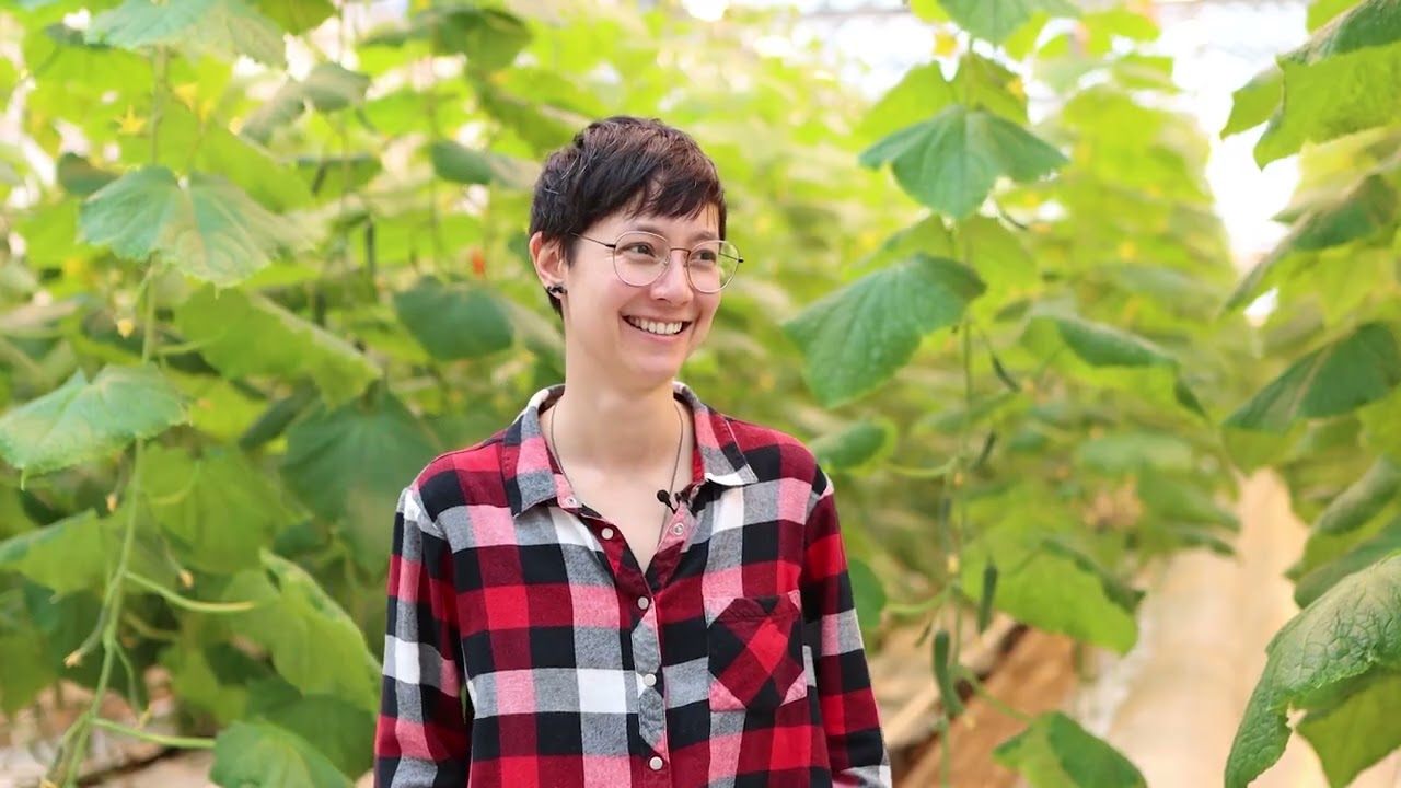 Jouer la vidéo GTEA Production légumière bio Jouer la vidéo GTEA Production légumière bio