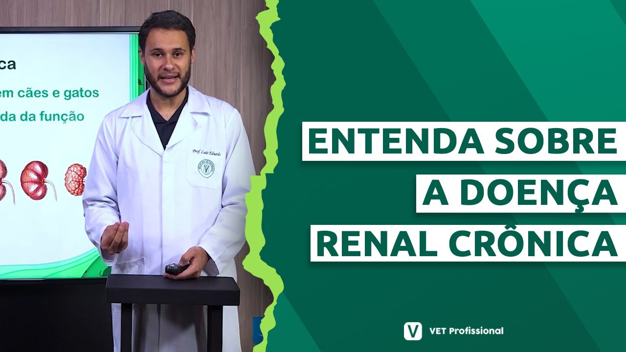 Doença Renal Crônica em pequenos animais