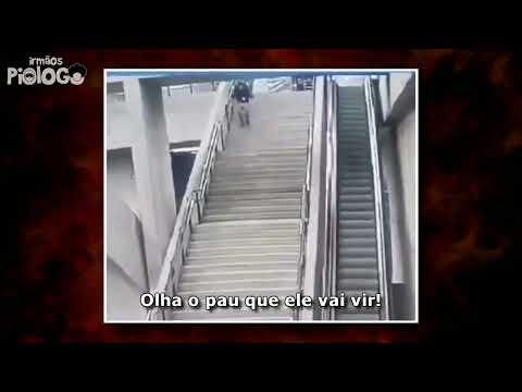 🔥 ParTOBA Pessoas Estúpidas 7 e a Caçadora de GATOS