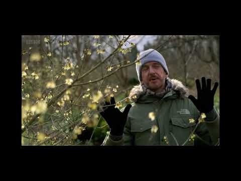 Gardeners World Winter Special 2021/22 Episode 2 #gardenersworld #originalgardening