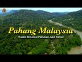 Mengunjungi SUKU Asli Yang Mendiami Hutan Tertua Di DUNIA Pahang Malaysia Part 2