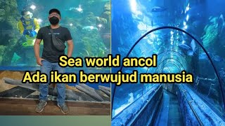 Download lagu Giant underwater aquarium in Indonesia mp3