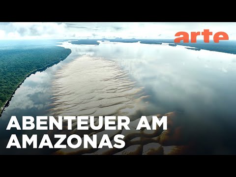 Der Rio Negro, von São Gabriel bis Manaus | Abenteuer Brasilien | ARTE Family