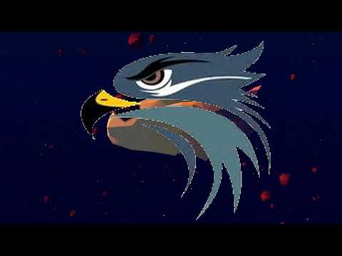 STRAY HAWK Ride An Asteroid