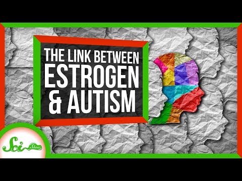 雌激素與自閉症之間的意外聯繫｜科學秀新聞 (The Unexpected Connection Between Estrogen and Autism | SciShow News)