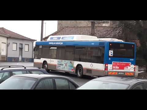 STCP No Linha 805 3162, 3163, 3165,  2141, Reservado 3090,