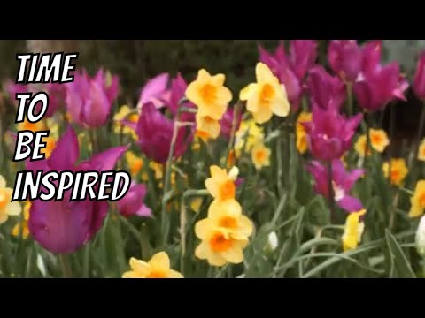 Inspired by Daffodils and Gingerbread