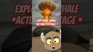 Exploding Whale 🧨🐳 **Actual Footage** Welcome to Nature’s Worst Fireworks Show🧨🧨