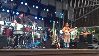 Waiting For The Bus - Violent Femmes