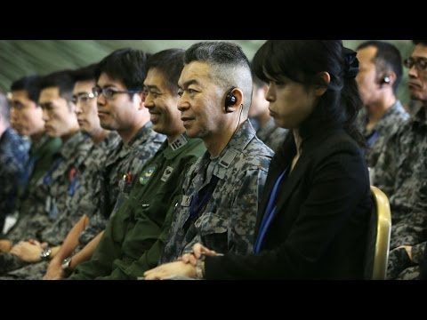 Door Open for Japan to Reinterpret Constitution