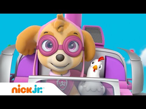 PAW Patrol | Die PAW Patrol-Welpen retten einen Schulbus 🚌  | Nick Jr. Deutschland