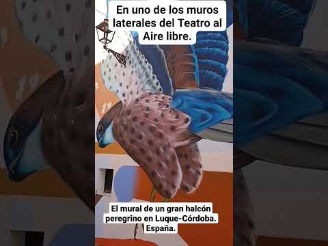 MURAL DEL HALCÓN PEREGRINO EN LUQUE-CÓRDOBA: EN EL GRAN TEATRO AL AIRE LIBRE. España.