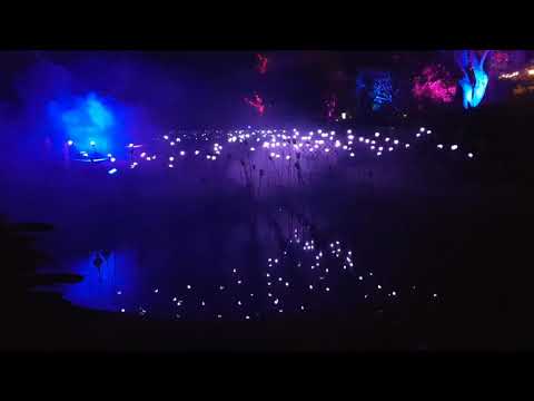 VIVID 2018 - Night 3 @ Botanic Gardens & The Opera House Preview # 2